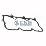 1300061 GASKET ; VALVE COVER ; EURO3-2