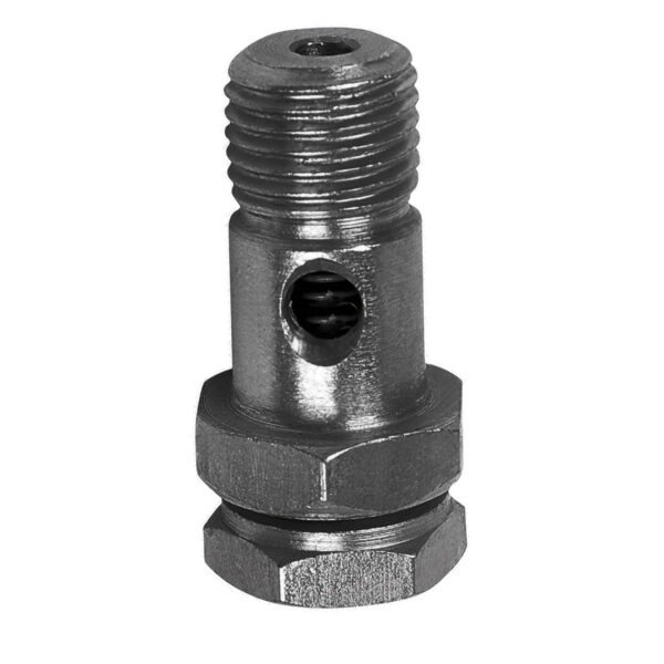 0245187 Valve; Feed Pump