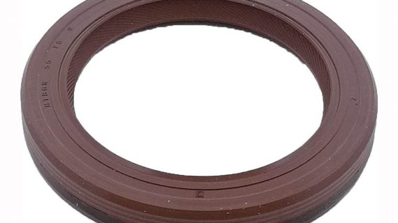 1283668, 077476 Seal Ring; Differential