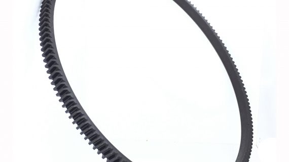170069 RING GEAR; FLYWHEEL
