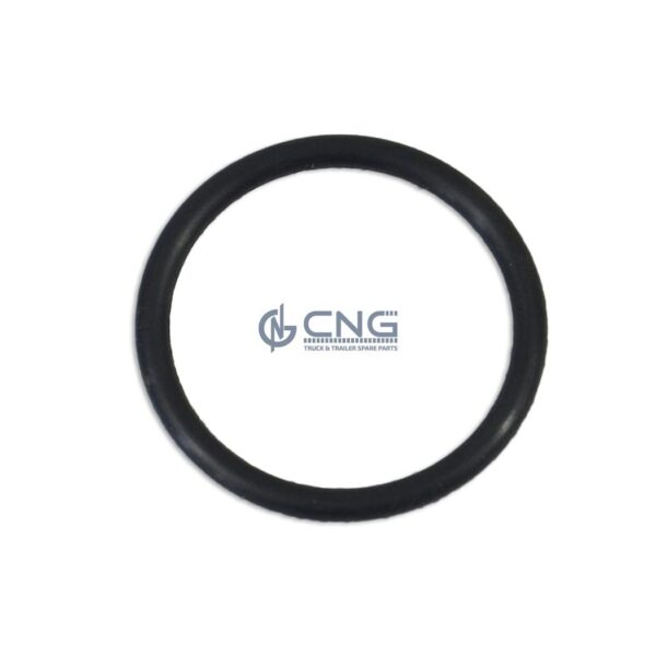 1872926 O RING; EGR
