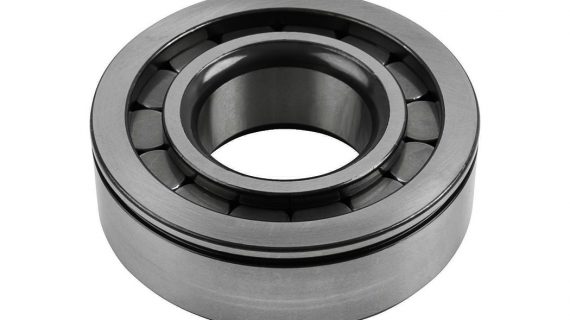 2148494, 1291189 Cylindrical Bearing; Differential