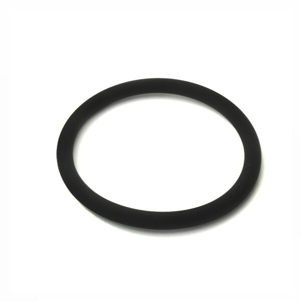 1351367 O-Ring; Pump Unit (Lower)