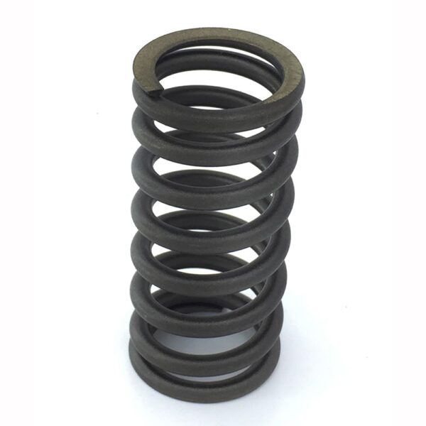 1684920, 1821685 Valve Spring; Ex Outside