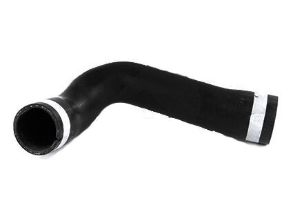 1755953 HOSE; RADIATOR