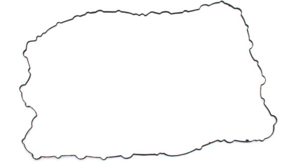 1900010 GASKET, VALVE COVER DAF EURO6 MX11 PACCAR