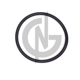 1661255 ORING, WATERPUMP DAF PACCAR EURO 5