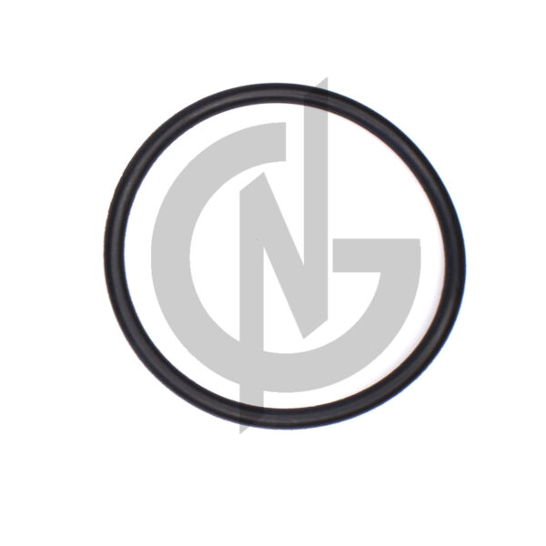 1661255 ORING, WATERPUMP DAF PACCAR EURO 5