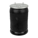 1698436, 1529836 AIR SPRING DAF