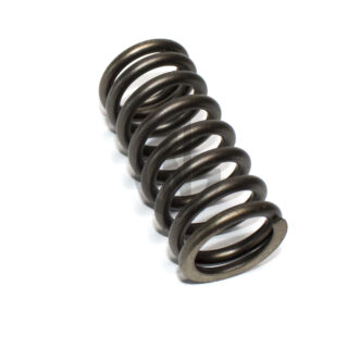 1813104 VALVE SPRING, IN, DAF PACCAR EURO5 TEMSA SAFIR-2