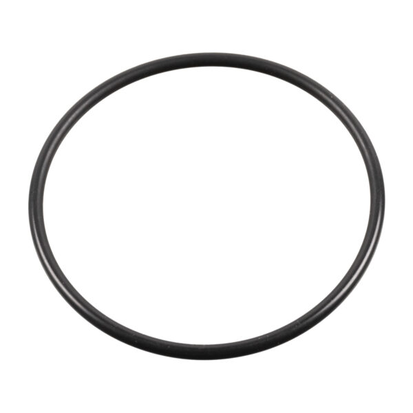 017284280 Sealing Ring for king pin