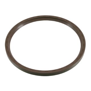 040100673 Shaft Seal for wheel hub