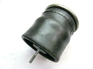 041225898 Air Spring with plastic piston and piston rod