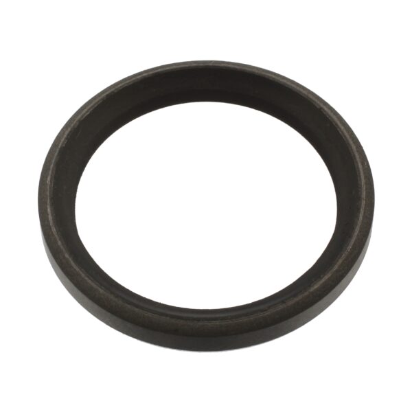 042001982 Shaft Seal for king pin
