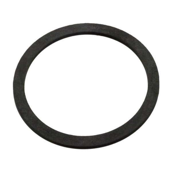 042489649 Sealing Ring for power steering oil tank