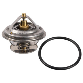 098420718 Thermostat with sealing ring