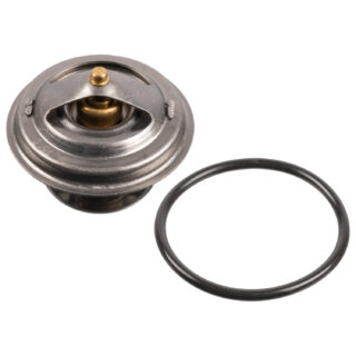 098492868 Thermostat with sealing ring