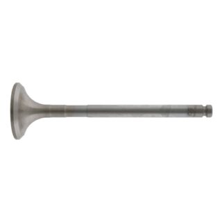 099432837 Exhaust Valve