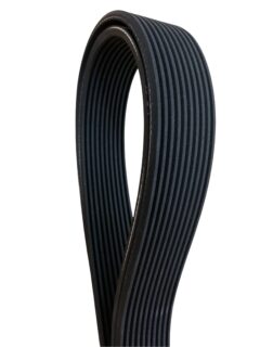 20430385 Auxiliary Belt