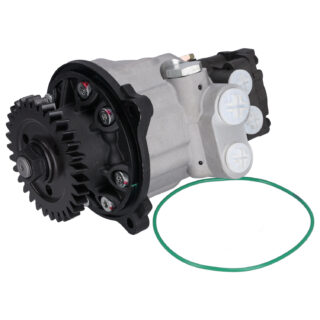 21910863 Tandem Pump for power steering and fuel system