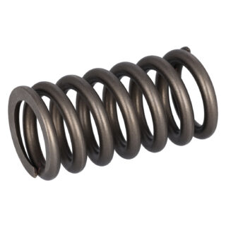 22527820 Valve Spring
