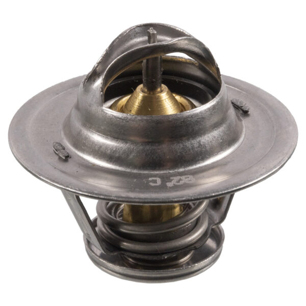 500329622 Thermostat with sealing ring