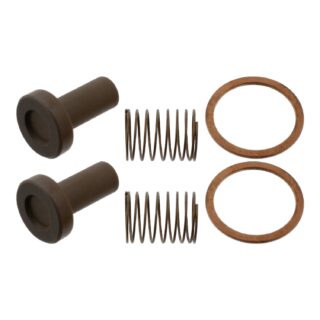 79051845 Valve Repair Kit for fuel pump